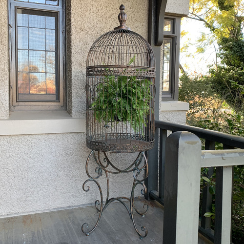 Ornate bird shop cages for sale